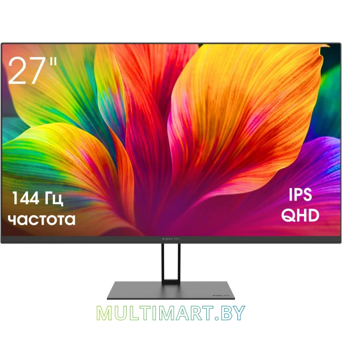 Монитор Digma Pro Motion L (TM27SB02)